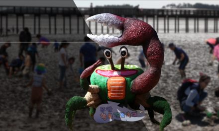 8th Muan Red Clay Mud Flat Festival 2020 is canceled