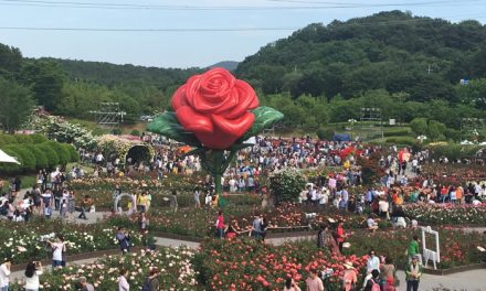 Ulsan Grand Park Rose Festival 2020 is canceled.