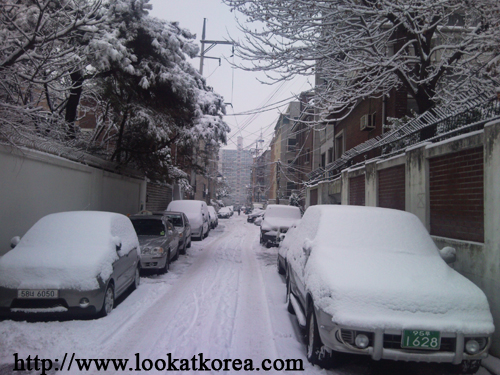 Seoul Snowfall