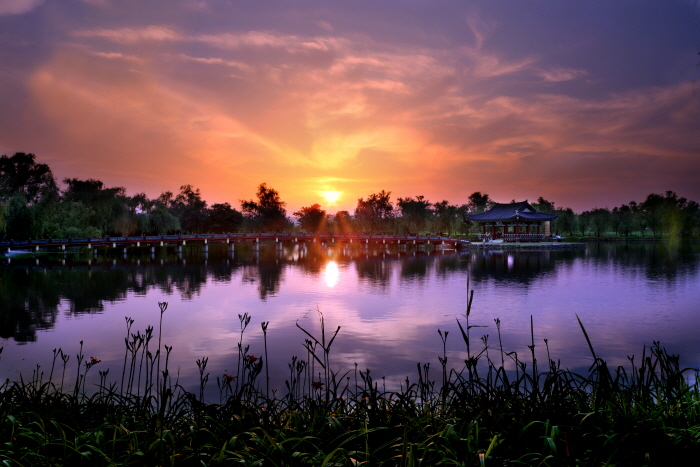 18th Buyeo Seodong Lotus Festival 2020 is canceled