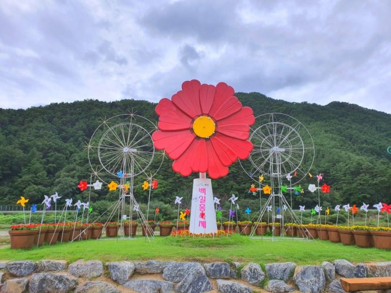 Pyeongchang Zinnia Festival 2020 is canceled