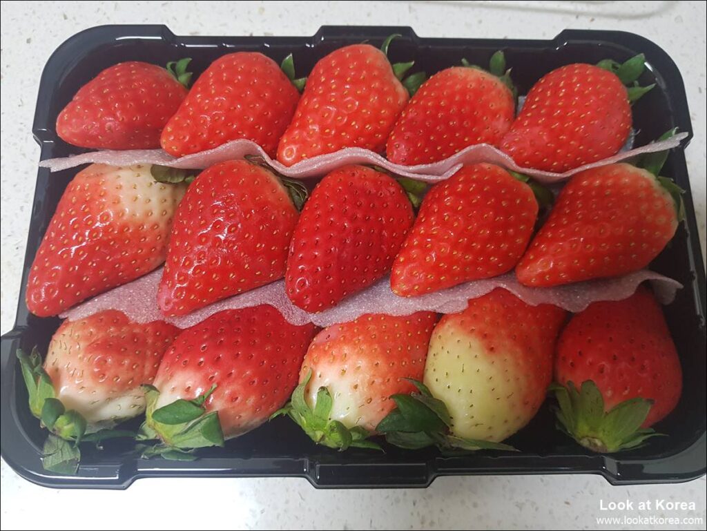 Kingsberry, a new big strawberry in Korea.