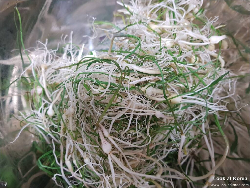 Dallae - Korean wild chive