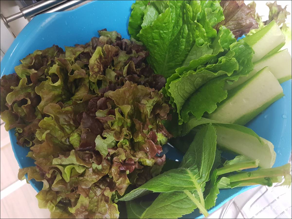 Lettuce, perilla leaves