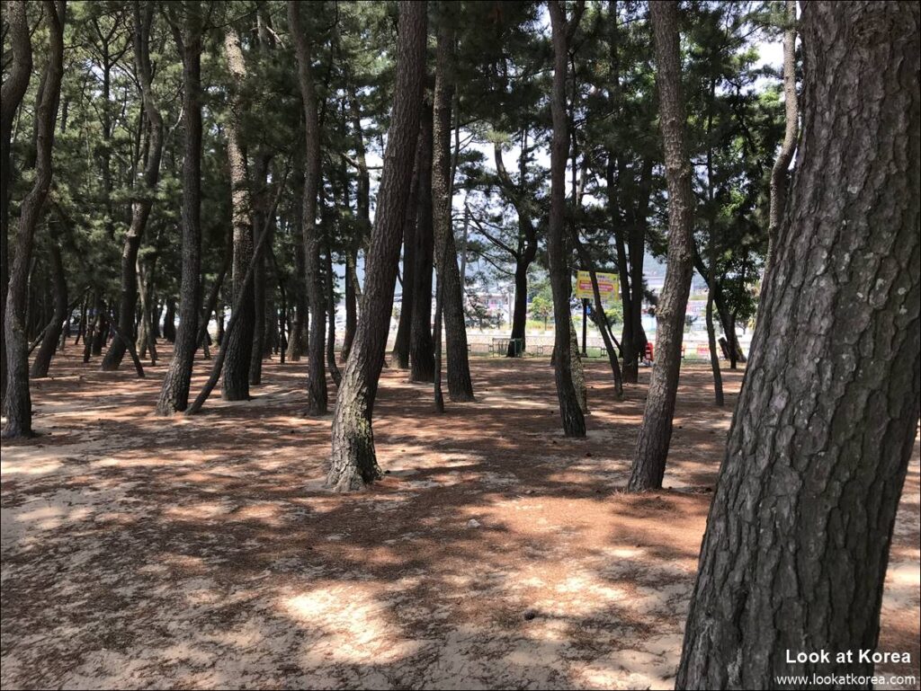 Namhae Sangju Silver Sand Beach