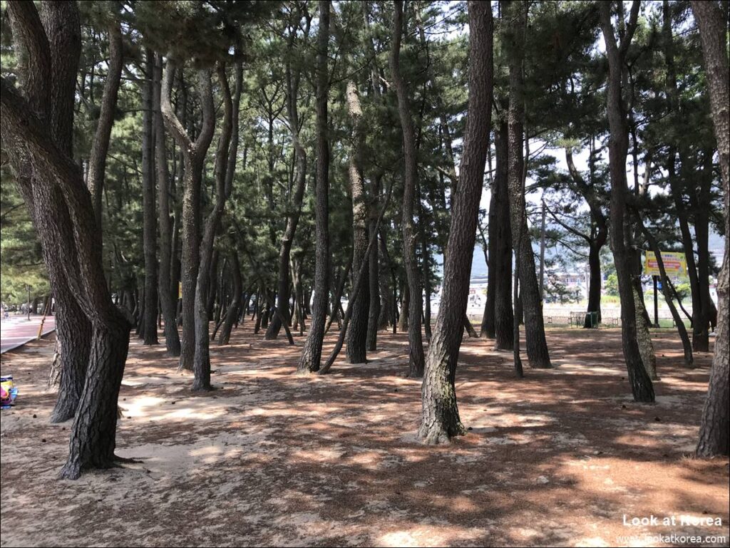 Namhae Sangju Silver Sand Beach