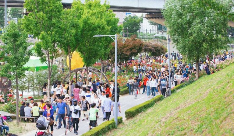 Seoul Rose Festival 2022