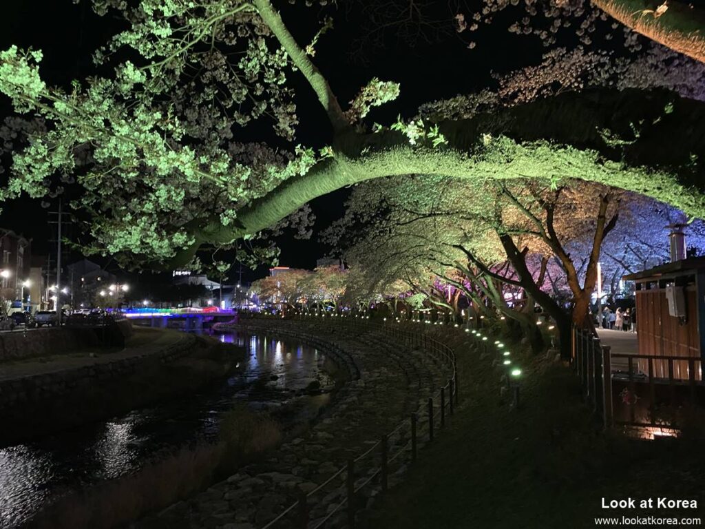 Suanbo Cherry Blossom Road