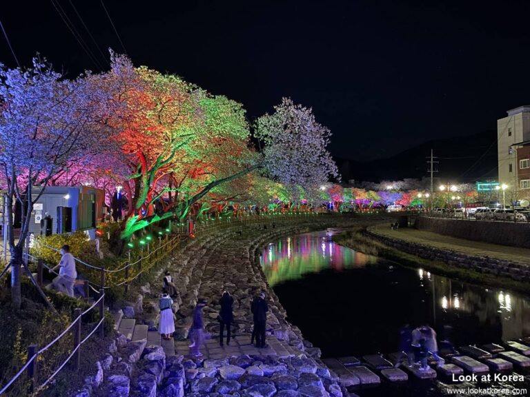 Suanbo Cherry Blossom Road