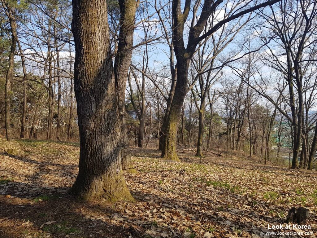 Tangeumdae park, Chungju
