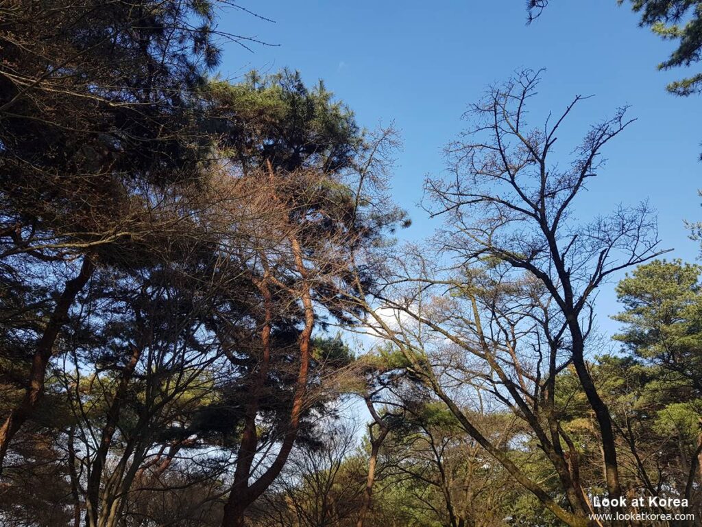 Tangeumdae park, Chungju