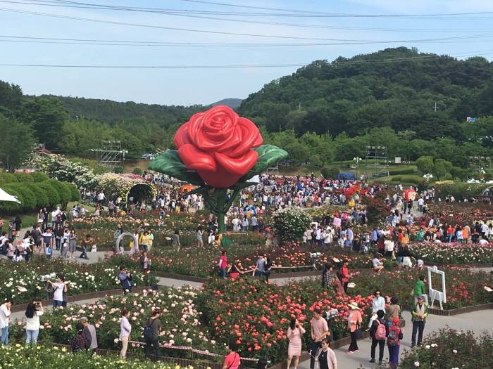 Ulsan Grandpark Rose Festival