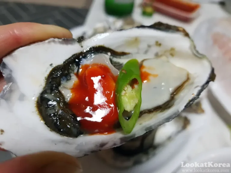 Korean Oysters: A fresh Korean oyster on the half-shell garnished with red chili sauce, a slice of raw garlic, and a piece of green chili pepper, ready to eat.